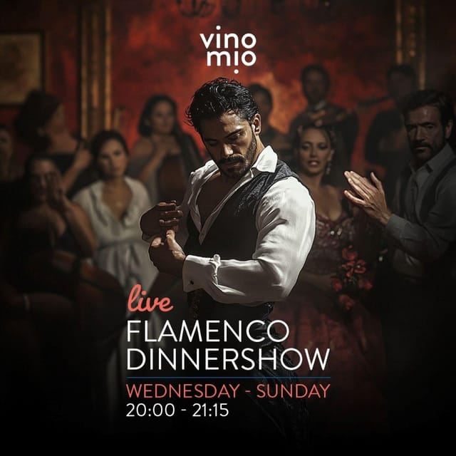Malaga: Authentic Flamenco Dinner Show at Vino Mio - Flamenco and dinner in one evening