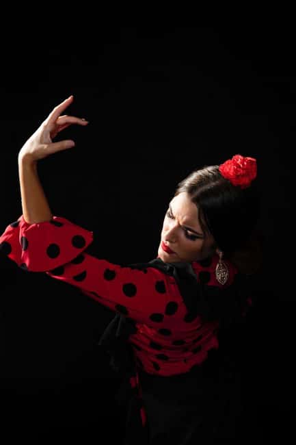 Malaga: Authentic Flamenco Dinner Show at Vino Mio - Dinner is part of the cost, not the ticket