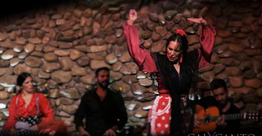 Malaga: Authentic Flamenco Show at El Gallo Ronco - At a Glance