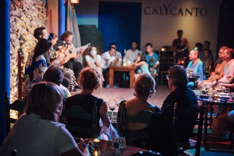 Malaga: Authentic Flamenco Show at El Gallo Ronco - Is $27 Good Value for a Flamenco Show?