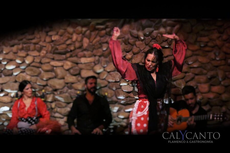 Malaga: Authentic Flamenco Show at El Gallo Ronco - What Happens During the One-Hour Show