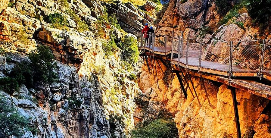 Málaga: Caminito del Rey Guided Tour with Transportation - What the seven-hour schedule feels like