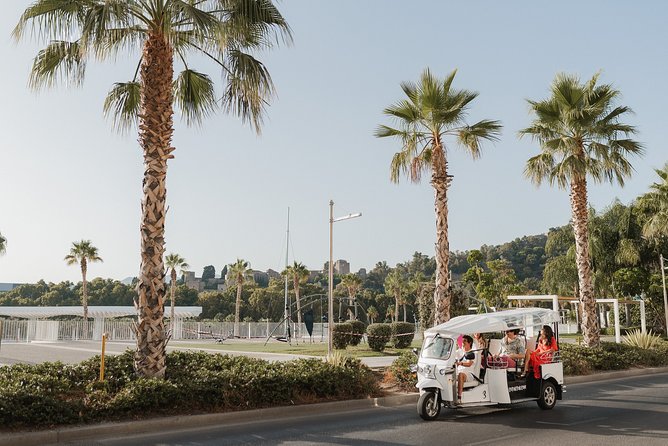 Malaga Express Tour with Local Guide in Eco Tuk Tuk Private - Port landmarks and the open coast