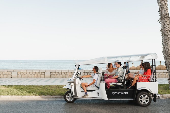 Malaga Express Tour with Local Guide in Eco Tuk Tuk Private - Choosing one hour or two