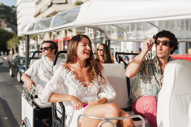 Malaga Express Tour with Local Guide in Eco Tuk Tuk Private - Price, comfort and practical limits