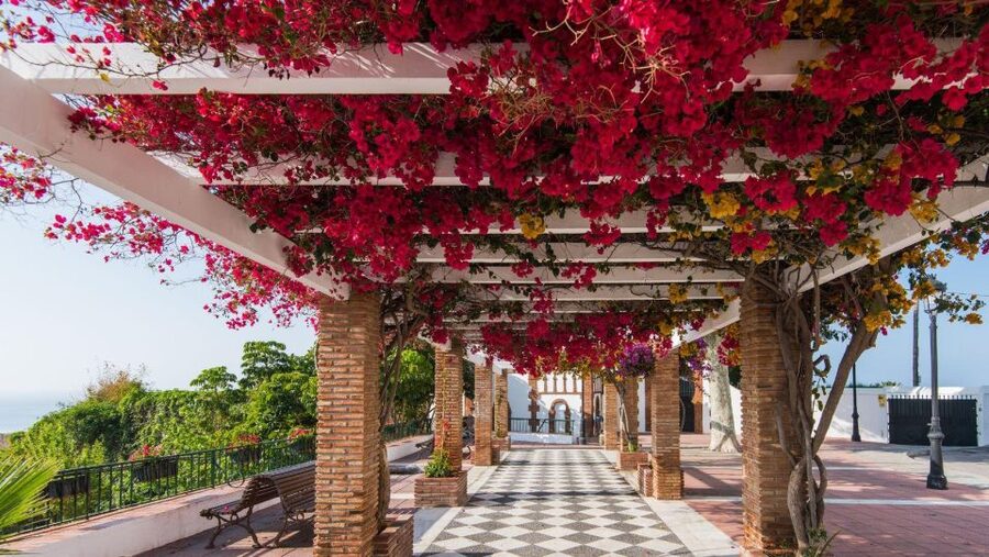 Malaga: Frigiliana & Nerja Tour with Local Product Tastings - A brief taste of local products