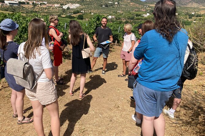 Malaga Organic Vineyard and Winery Six Wines Tapas and Transfer - At a glance