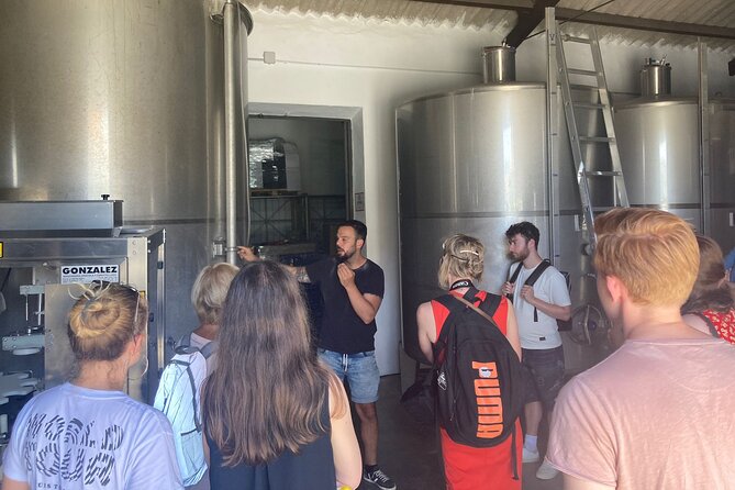 Malaga Organic Vineyard and Winery Six Wines Tapas and Transfer - The ride out of Málaga sets the scene