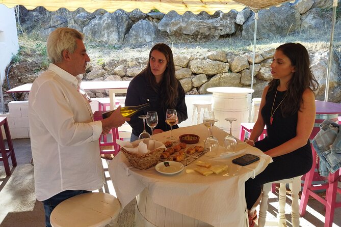 Malaga Organic Vineyard and Winery Six Wines Tapas and Transfer - What the small group changes