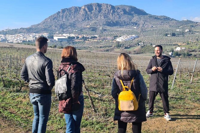 Malaga Organic Vineyard and Winery Six Wines Tapas and Transfer - Practical details before you go