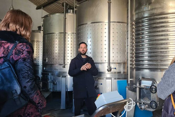 Malaga Organic Vineyard and Winery Six Wines Tapas and Transfer - Should you book it?