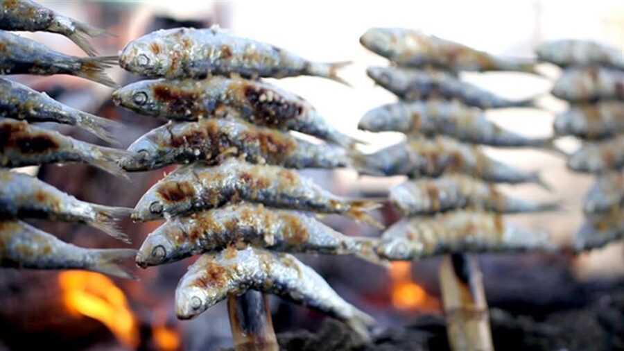 Malaga: Paella and Tapas Tour with The Best Flamenco Show - What the $108 price covers