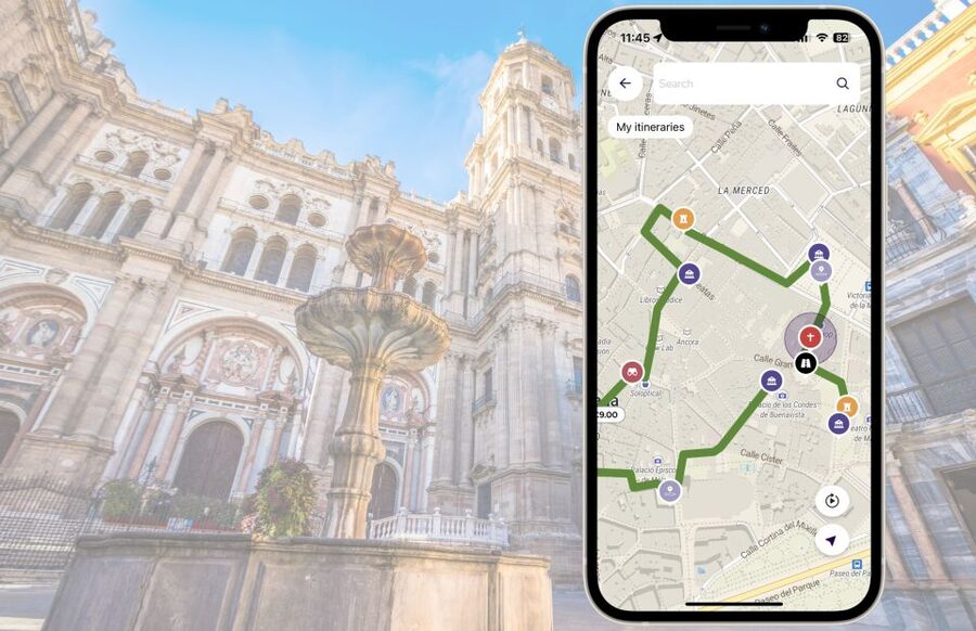 Málaga: Picasso Birthplace Museum Ticket & City Audio Guide - Is $11 good value for this Málaga experience?