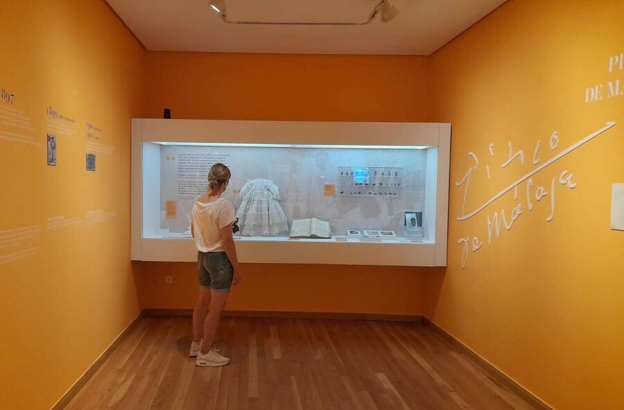 Málaga: Picasso Birthplace Museum Ticket & City Audio Guide - Should you book it?