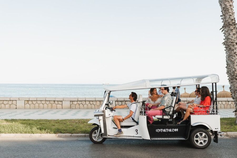 Malaga: Private City Tour by Eco Tuk Tuk - The useful details at a glance