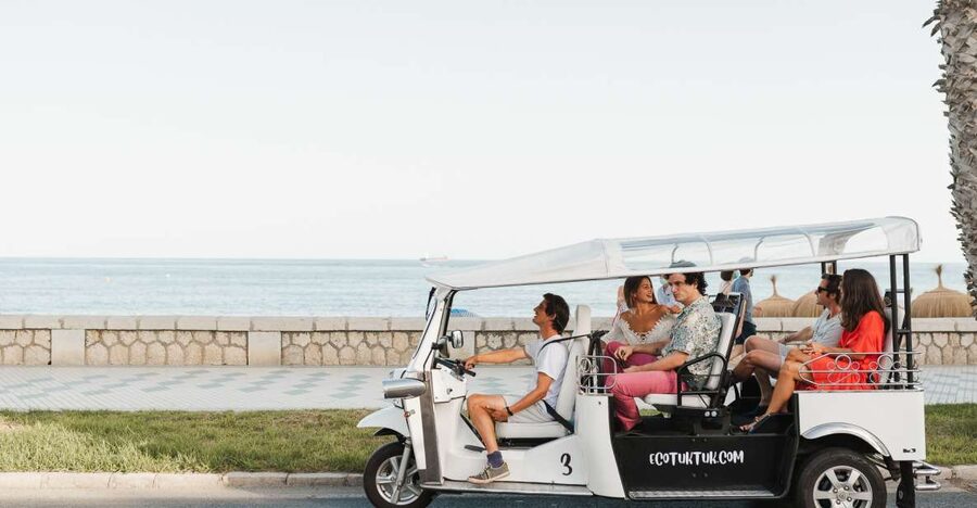 Malaga: Private City Tour by Eco Tuk Tuk - Civic Málaga: the university, Bank of Spain, and City Hall