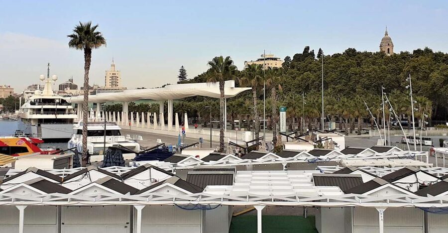 Malaga: Private walking tour - Follow Picasso’s Malaga connections