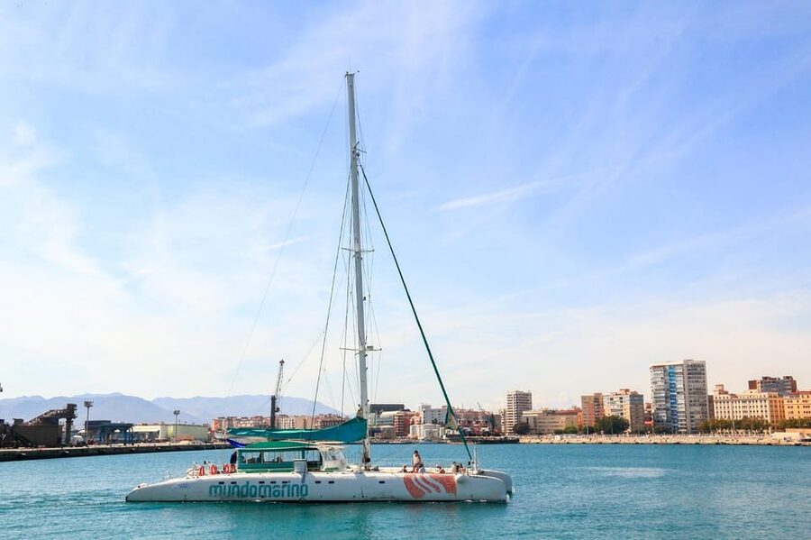 Malaga: Sailing Catamaran with Swimming and Paella Lunch - Who will enjoy this catamaran trip?