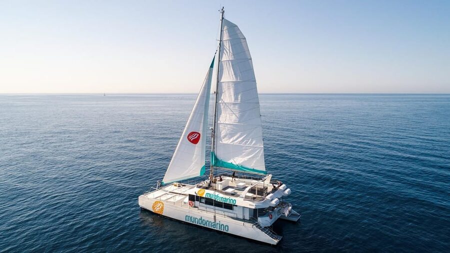 Malaga: Sailing Catamaran with Swimming and Paella Lunch - Should you book it?