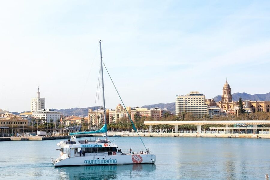 Malaga: Sailing Catamaran with Swimming and Paella Lunch - Swimming in open water
