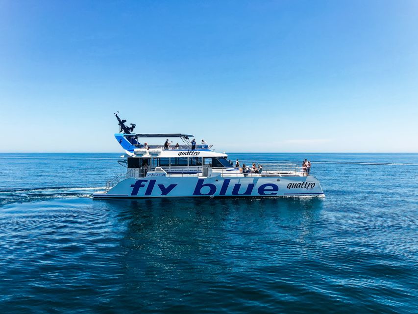 Málaga: Scenic Catamaran Cruise - Price, Timing and Practical Details