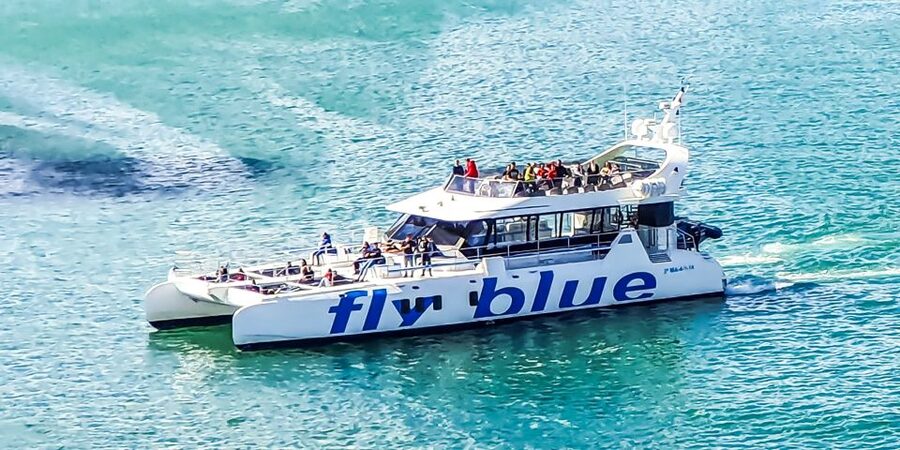 Málaga: Scenic Catamaran Cruise - FAQ