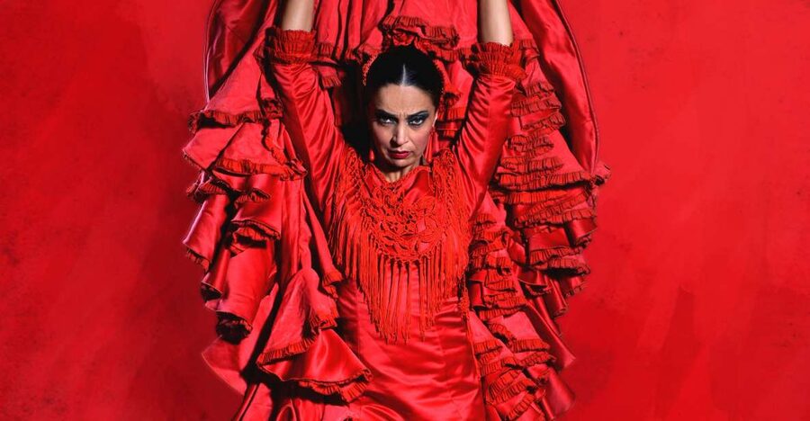 Malaga: Teatro Flamenco Malaga Live Flamenco Show - Flamenco at close range in central Málaga