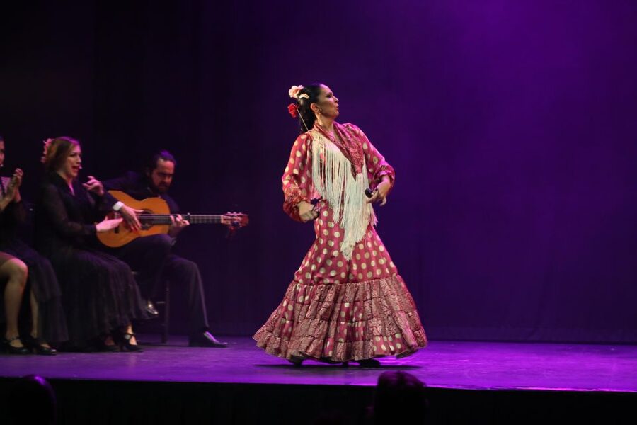 Malaga: Teatro Flamenco Malaga Live Flamenco Show - A small theatre with a close view