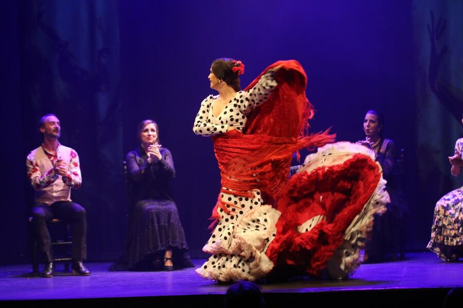Malaga: Teatro Flamenco Malaga Live Flamenco Show - Make time for the bar or a nearby meal