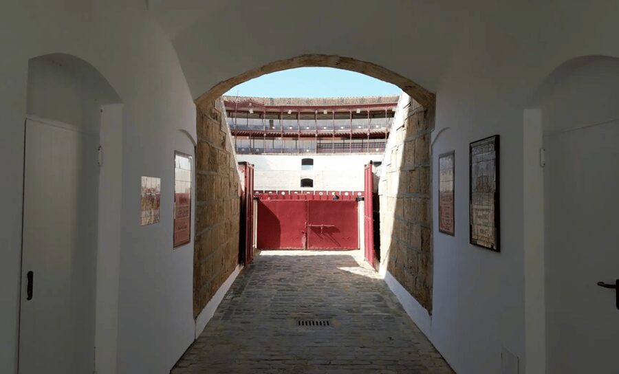 Malaga: Tour of Malagueta Bullring & Immersive Exhibition - Start at Calle Maestranza, door 8