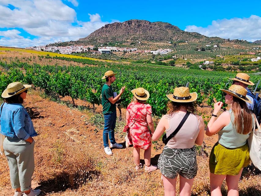 Malaga: White Village, Vineyard, and Wine Tasting Wine Tour - Álora’s streets, museum and castle