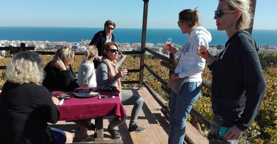 Manilva: Nilva Vineyard, Wine Tasting & Tapas Guided Tour - Manilva’s old vines are the heart of the visit