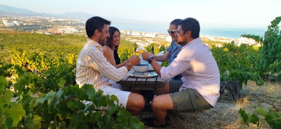 Manilva: Nilva Vineyard, Wine Tasting & Tapas Guided Tour - Start at CIVIMA, Manilva’s wine museum