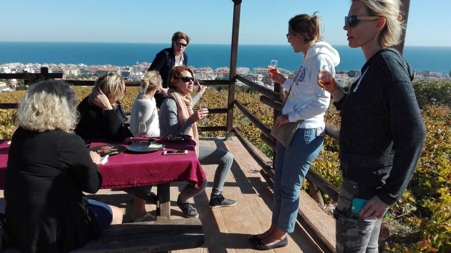 Manilva: Nilva Vineyard, Wine Tasting & Tapas Guided Tour - Make your own way to the vineyard