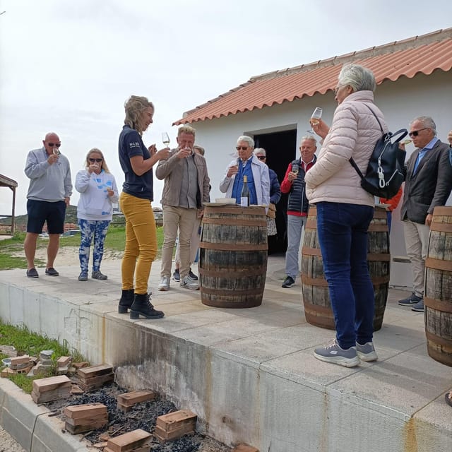 Manilva: Nilva Vineyard, Wine Tasting & Tapas Guided Tour - What the two-hour format gives you