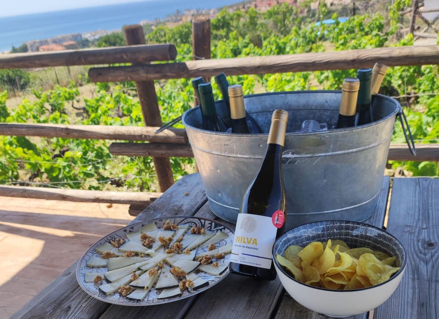 Manilva: Nilva Vineyard, Wine Tasting & Tapas Guided Tour - Who should book this tour?