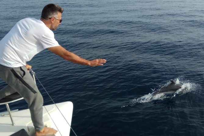 Marbella 3-hour Catamaran Group Excursion with Dolphin Watching - Is $116.11 a Fair Price?