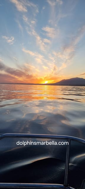 Marbella: Dolphin-Watching Sailboat Trip with Drinks, Snacks - Looking for dolphins without a guarantee