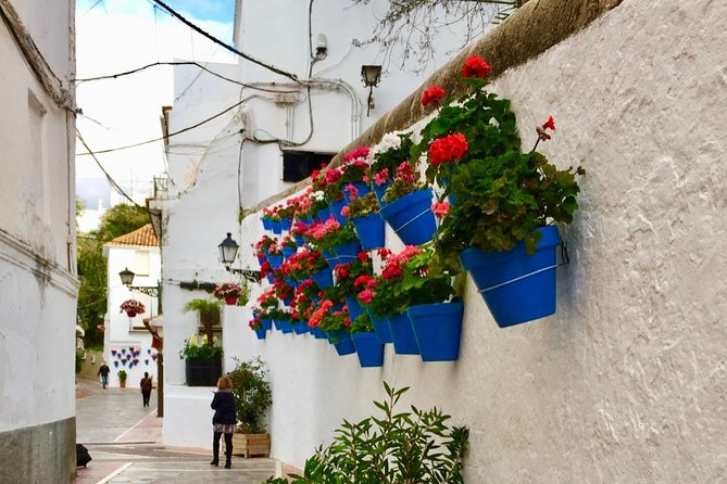 Marbella Old Town: Group Tour with a True Local - What the $29 price gets you