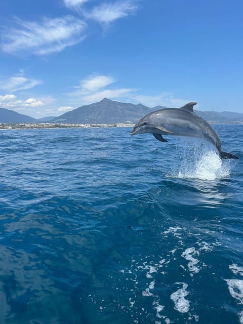 Marbella: Sailing & Dolphin Watching with Snacks and Drinks - A coastal cruise, not just a wildlife hunt