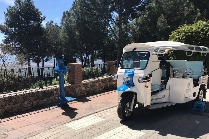 Mijas: Panoramic city tour in an electric Tuk Tuk - What the private format means
