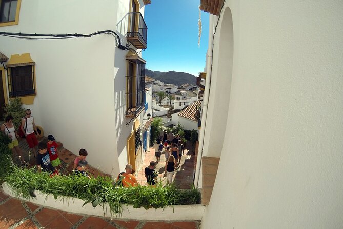 Natural Parck Jeep Eco Tour from Costa del Sol - Should you book the Sierra de las Nieves Jeep tour?