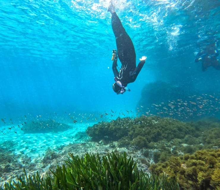 Nerja-Maro: Snorkeling & Sea Scooter Speedboat Trip - Snorkeling among fish and rocky coast