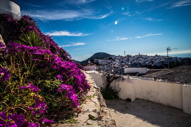 Nerja (Pueblo) + Frigiliana & El Acebuchal - Semi-Private - Is $108.61 good value?