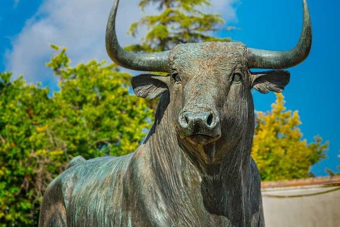 Private Day Trip to Ronda from Malaga with Driver-Guide - The bullring adds a distinct chapter to the visit