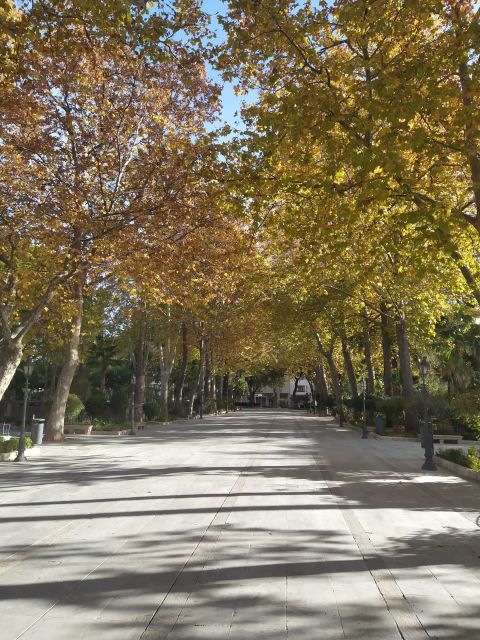 Ronda: 2-Hour Private Walking Tour - A private walk through Ronda’s two halves