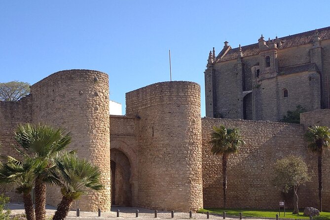 Ronda Self-Guided Audio Tour with Andalucia Travel Expert - The bullring, a fitting finish