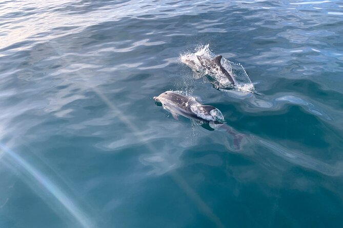 Sailing Adventure: Sailing, Dolphins and Relaxation with Drinks - Leaving Puerto Banús for the open water