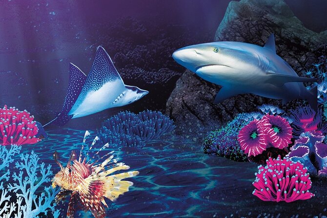 Sealife Benalmadena Entrance Ticket - Should you book this ticket?
