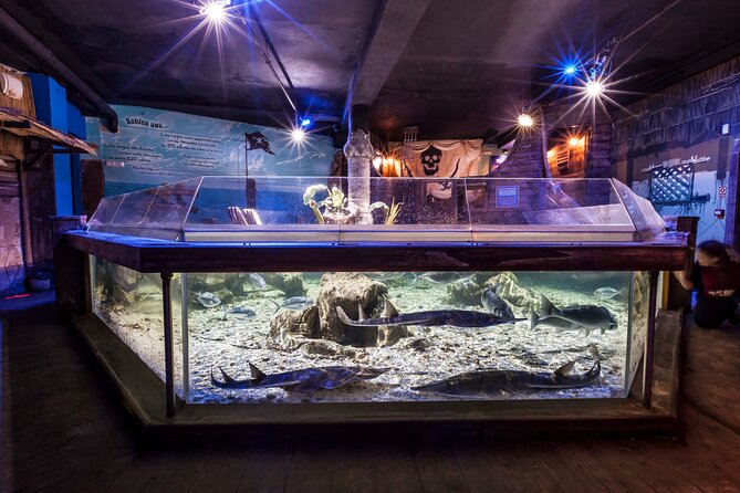 Sealife Benalmadena Entrance Ticket - A compact visit, with compact expectations